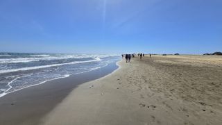 GC-Playa El Veril (Playa del Ingles) 2025-16.jpg